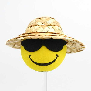 Aeigbv COOL  {[C CG[ Aeigbp[ Aei{[ LOCS [NTOX LVJ Aei AJ G CeA  ] J[pi AJ G