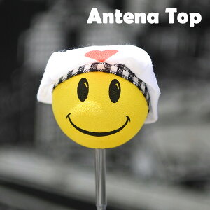 Aeigbv X}C VFt Aeigbp[ Aei{[ SMILE jR n[g Aei AJ G CeA  ] J[pi AJ G