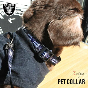 C_[X  ybgJ[ S ̎ p p ^ ^ U o ybg ObY ubN   raiders NFL RAIDERS Atg AJtbg{[ C_