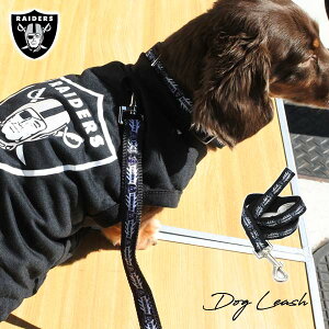 C_[X [h VO[h t@bV[h ̎ p p ^ ^ U o ybg ObY ubN raiders NFL RAIDERS Atg C_[X ObY 