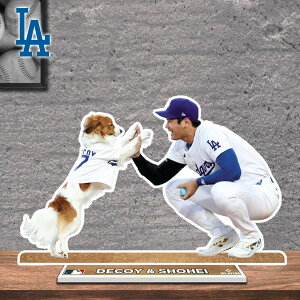 hW[X Jĕ TCv[g TC{[h fRs MLB dodgers LA LOS ANGELES Ŕ CeA K[W  LO X^h fBXvC zCg u[ S T[X W