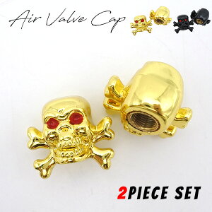 GAouLbv SKULL 2 Zbg S2F S[h ubN ėp  oCN  C ou Lbv XJ hN  GA[ GA ou Lbv I[gp[c J[ANZT