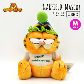 海外直輸入 USED品 ガーフィールド ぬいぐるみ M ヴィンテージ品 GARFIELD キャラクター パーティ 帽子 オレンジ かわいい Vintage インテリア 置物 人形 猫 ネコ インテリア ディスプレイ 飾り 装飾 アメリカン レア ヴィンテージ アメ車 アメリカ 雑貨