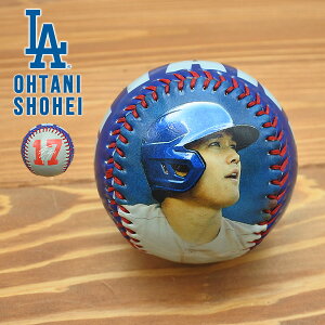 hW[X Jĕ {[ LA fBXvC ball 싅{[  wԍ 17 TC K[W CeA LO   MLB dodgers LA LOS ANGELES T[X hW[X ObY shohei ohtani 