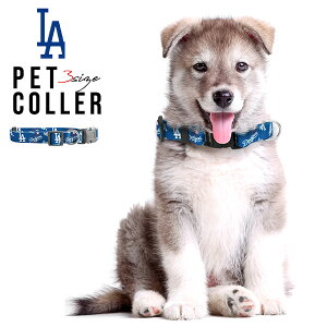 hW[X  ybgJ[ S3TCY u[ MLB dodgers LA LOS ANGELES Jĕ T[X hW[X ObY ̎ p  lR ^ ^ U o ybg S U 