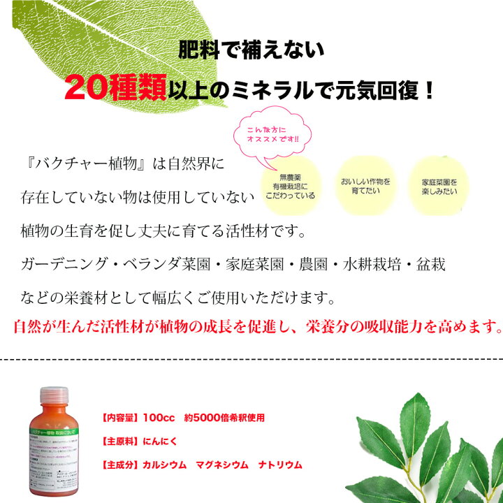 バクチャー 生花 10cc 水約166リットル分 生け花 切り花 長持ち 送料無料 他商品同梱不可 商い