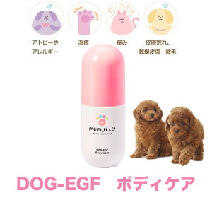 yz p Vv[ g  {fBPAXv[ 200ml DOG-EGF h q Y mVR I[KjbN 畆 ybgGXe 畆P щP R VR 