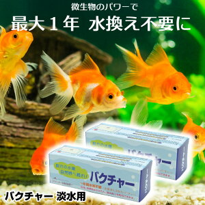 yzoN`[  򉻊 poN`[(Wp)60Lp×2Zbg   W    ȒP S oNeA  ΂[