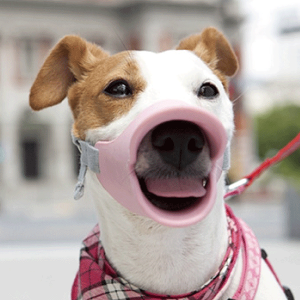 犬 無駄吠え しつけグッズの通販 価格比較 価格 Com 犬 無駄吠え しつけグッズの通販 価格比較 価格 Com