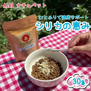 Ԍ艿iyz Tv VJ ybgp PCf AVJ ӂ肩 Y Y AIAITv i`ybg VJ̌b 30g+ʒII L NT|[g 畆