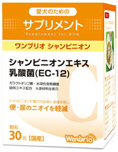  Tvg wanbrio uI VsjI 1g×30 H@ ֏L AL y Pʋ  Ht΍