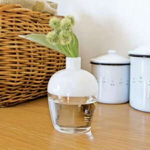 AXCIS �A�N�V�X �V���� �ԕr �t���[�� �t�����[�x�[�X �K���X ��֑}�� �V���v�� �k�� �K���X�x�[�X�c�[�g��S �z���C�g