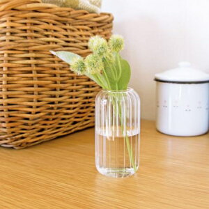 AXCIS �A�N�V�X �V���� �ԕr �t���[�� �t�����[�x�[�X �K���X ��֑}�� �V���v�� �k�� �K���X�x�[�X �J�k��