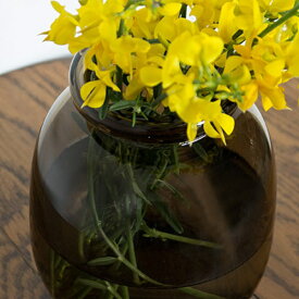 AXCIS アクシス 新生活 花瓶 フローラ フラワーベース ガラス シンプル 北欧 ビッグガラスベース ブラウン