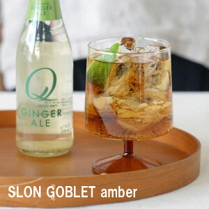 AXCIS ANVX XR Subg Ao[ V fU[gJbv ACXN[Jbv ptF r[OX COX ݕ Jbv k H 