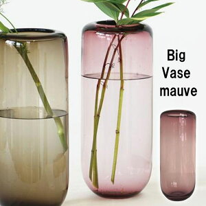 AXCIS ANVX V ԕr t[ t[x[X KX Vv k rbOx[X pS_ [u