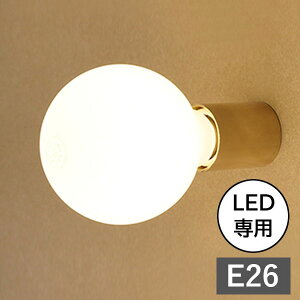 Ɩ EH[v ZbvCg Cylinder light Brass AXCIS ANVX DIY tH[ V