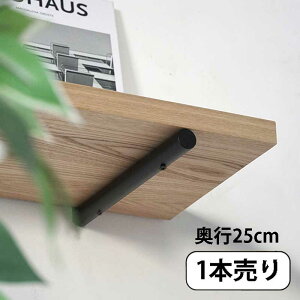 AXCIS ANVX DIY tH[ V Iron Stick Shelf 250