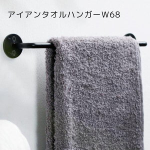 AXCIS ANVX DIY tH[ V Iron Towel Hanger 680