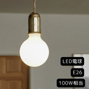 AXCIS ANVX DIY tH[ V {[^LEDdE26 100W