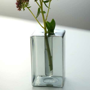 KXx[X XNGA O[ AXCIS ANVX V