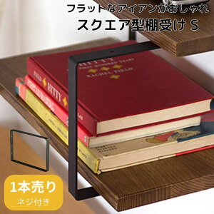 I󂯋  ACA Vv DIY k uPbg XNGA Ǌ|I bN ubN _ Lb` ʏ rO   DIY Vz tH[X  AXCIS EH[V