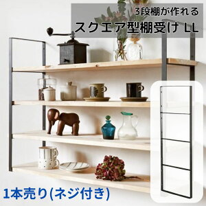 I󂯋  ACA Vv DIY k uPbg Ǌ|I ubN _ Lb` ʏ rO   DIY Vz tH[X  AXCIS EH[VFt LL