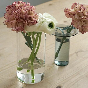 AXCIS ANVX DIY tH[ V PINO KXx[X Xg[g O[