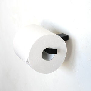 AXCIS ANVX DIY tH[ V Curve ACAy[p[z_[ ubN