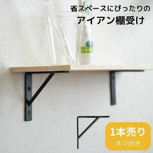 I󂯋  ACA Vv DIY k uPbg 10cm ȃXy[X ^ bN EH[VFt  Ǌ|   DIY Vz tH[ X  AXCIS IRON SHELF 100