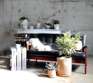 鉢カバー プランターカバー ジュート おしゃれ 植物 観葉植物 グリーン 花 室内 北欧 ジュートプランツカバーSS