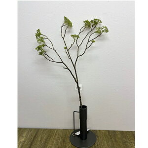  tFCNO[ tFCNt[ i`A CeAG IuWF fBXvC A[guVOCA