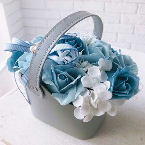 \[vt[ a Mtg  LO Vzj t[  ʉ j  \[vt[oXPbgBL