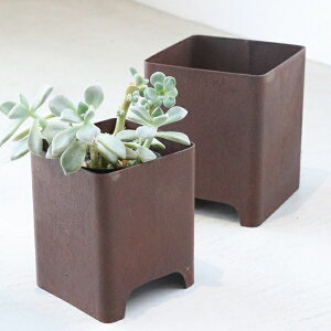 XeBEXNGAJbv2_Zbg RxgK[f