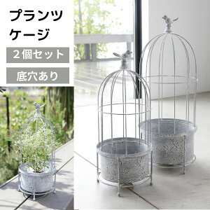 vcP[W K[fG K[{  AeB[N  CeAG AWeEvcP[W 2_Zbg