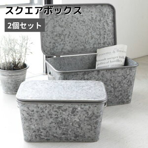 [{bNX  2Zbg t^t Wt ӂtx[WEXNGA{bNX 2_Zbg