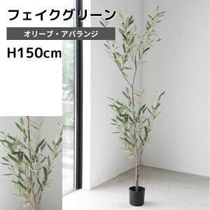 yztFCNO[ ^ ϗtA tFCN A  CeA lHϗtA I[uEAoW