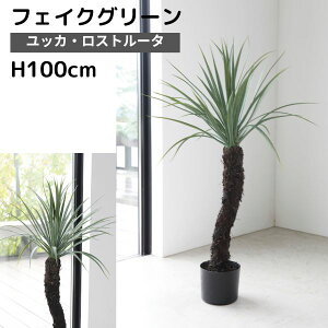 yztFCNO[ ^ ϗtA tFCN A  CeA lHϗtA bJEXg[^