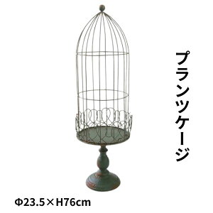 vcP[W K[fG K[{ AeB[N  CeAG Go[EvcP[W