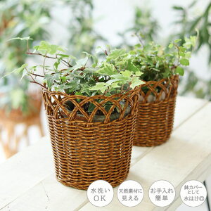 oXPbg Jo[eB t[|bg M OK ȒP