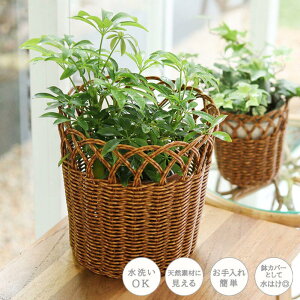 oXPbg Jo[eB t[|bg L OK ȒP