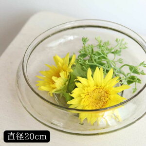 Vi[x[X nChWA SCENERY Vi[ Creer NG V o^C zCgf[ ̓ Mtg v[g