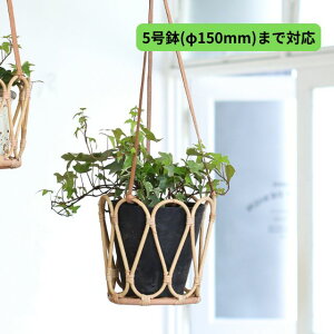 O nMO|bg (LTCY) JUGLAS O Creer NG V o^C zCgf[ ̓ Mtg v[g