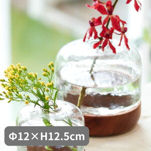 Vi[EbhKXx[X h[ Sceneryvase Vi[x[X Creer NG V o^C zCgf[ ̓ Mtg v[g