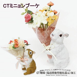 L tFCNO[ t[  C~e[V  CT~ju[P ETM