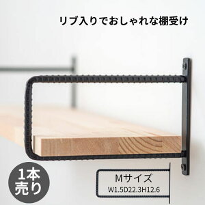 I ubN ACA ׂuANZg ŃVvȕǊ|[ DIYS҂S ω׏d1.25kg 63494 VOuPbg uM