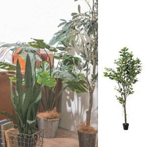 @lly[J[z ysz ysz yԕiszlHϗtA tFCNO[tBJXc[ @po-80955