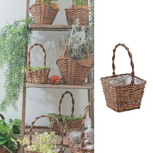 K[foXPbg XNGAL a-po-11605