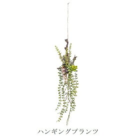 楽天市場 観葉植物 吊り下げ 花 観葉植物 花 ガーデン Diy の通販