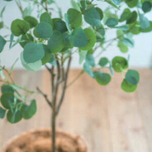 ���@�l�l����y���[�J�[�����z �y����s�z �y�����s�z �y�ԕi�s�z���[�J�� 150cm ���� �ϗt�A�� �C���e���A �l�H�ϗt�A�� �t�F�C�N�O���[�� ���[�J�� �@po-81022